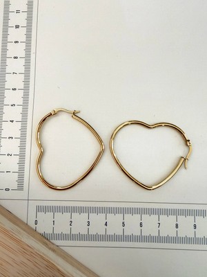 Aida Jewelss Paslanmaz Çelik Kalp Modeli Halka Küpe 46MM