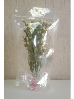 Nacario 2 Adet Dahil,vazoda Çiçek,beyaz Yapay Çiçek, Dekoratif Kristal Damlalı 6X6X19CM