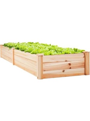 60X120X18 cm Boyutlarında Üretken Sebze Tarhı, Bahçeniz Için Ideal