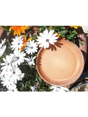 Topraktan 6'lı Fincan,saksı Altlığı Çok Amaçlı Mini Tabak 13 * 1,5 cm