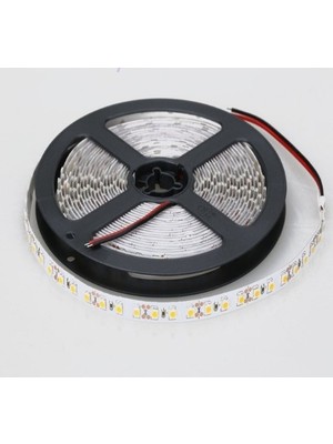 Cata Ct-4481 10ç Gün Işığı Renkli İç Mekan Led Şerit 5 Mt 12V Voltaj ile Enerji Tasarruflu