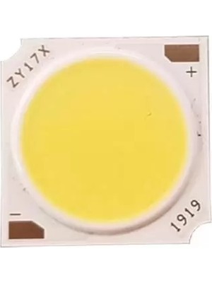Omrs Store Powermaster PM-27090 30W 45-51V 19X19MM 4000K Gün Işığı Cob LED