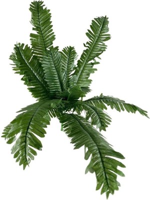 Tr Yapay Çiçek 12 Yaprak Cycas Aşk Merdiveni Eğrelti Otu Sıkas Bitkisi 45 * 50CM Yapay Bitki