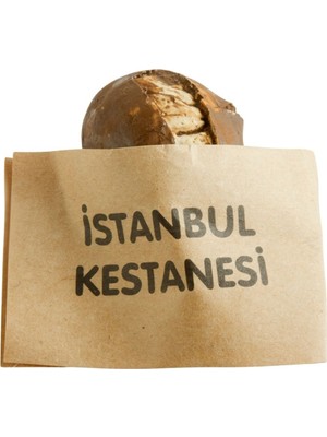 Bijuteri Net Kestane Magnet