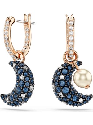 Swarovski SWR5671569 Women's Earrings