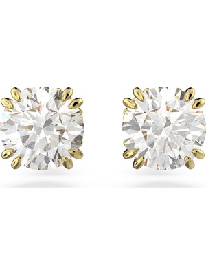 Swarovski SWR5642595 Women's Earrings