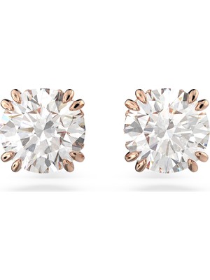 Swarovski SWR5638801 Women's Earrings
