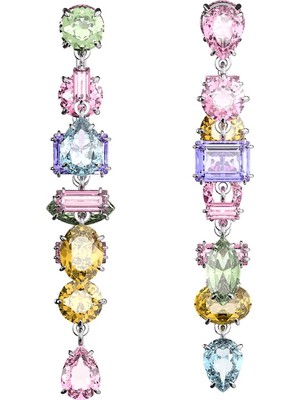 Swarovski SWR5656417 Women's Earrings