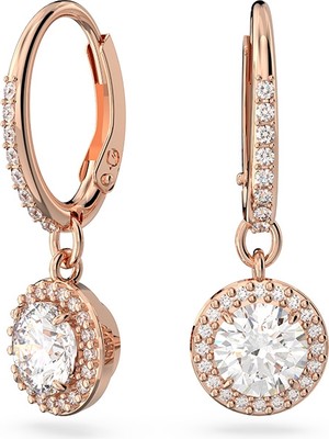 Swarovski SWR5638769 Women's Earrings