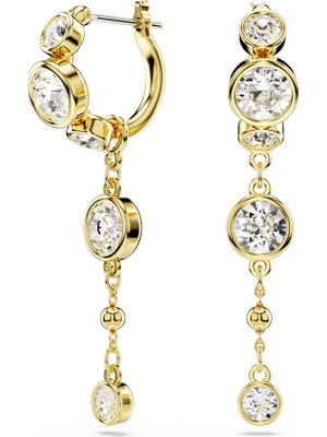 Swarovski SWR5680097 Women's Earrings