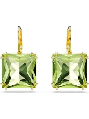 Swarovski SWR5636564 Women's Earrings