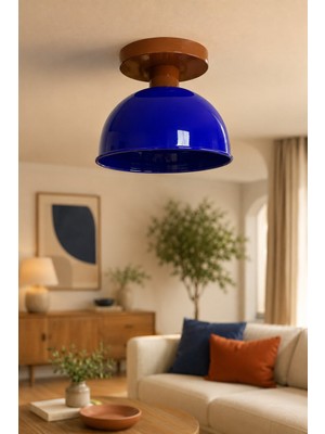 Edison Modern Renkli Plafonyer Avize E27 Duy Dekoratif Metal Tavan Lambası Salon Mutfak Yatak Odası