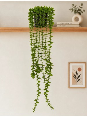 B&Nine Yapay Yeşil Sarkıt Bitki Çiçek Okaliptus Kokusuz Plastik 80 cm Modern Renk