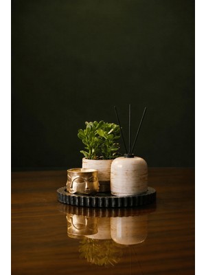 Giselle Touch Of Gold – Olive & Gold Premium Set Mum