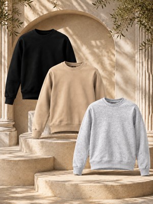 Damga 3 Adet Erkek 3 Iplik Kalın Kışlık Premium Sweatshirt