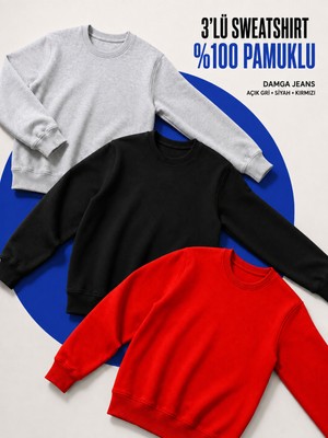 Damga 3 Adet Erkek Günlük Bisiklet Yaka Bol Sweatshirt