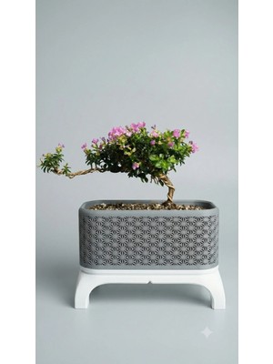 Alpin Kumiko Desenli Ayaklı Dikdörtgen Bonsai Saksısı – Organik Pla, Doğa Dostu Dekoratif Bitki Saksısı