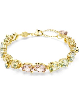 Swarovski SWR5705808 Kadın Bileklik