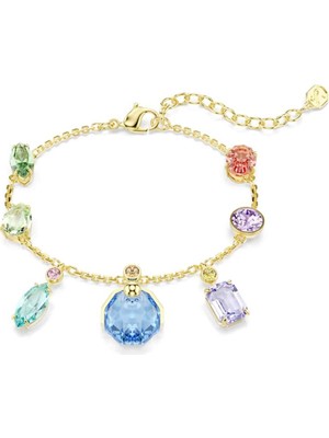 Swarovski SWR5737442 Kadın Bileklik