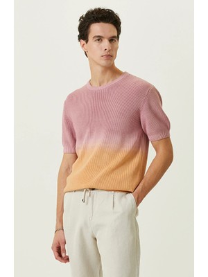Network Multicolor Crew Neck Short Sleeve Knit Sweater