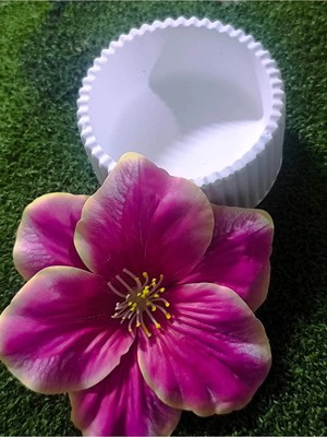 Maison Luré El Yapımı Taş Tozu Kase ve Fuşya Hibiskus Çiçekli Takı ve Saç Tokası Seti
