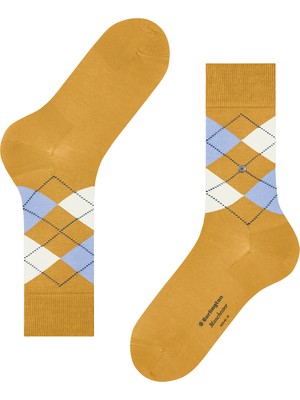 Burlıngton Burlington Men's Socks Multicolor