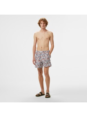 Nautica Men's Brown Swim Shorts