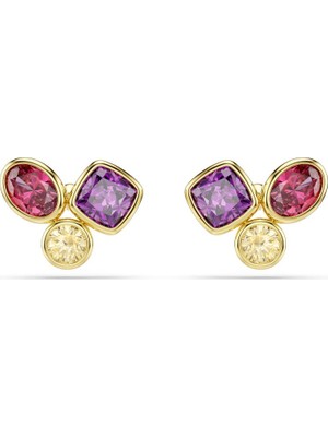 5760019 Swarovski Küpe Imber:pe Stud Mul/gos