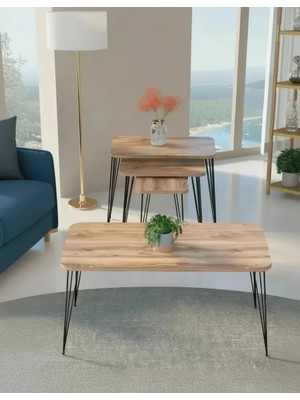 Treeandtech Parma Zigon Sehpa Seti