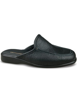 Ceyo Renon-5 (40-45) Merdane