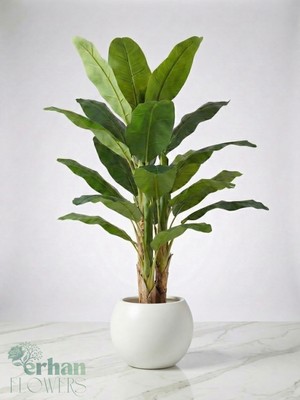 Erhan Flowers Yapay Muz Ağacı 200 cm 21 Yaprak Beyaz Küre Saksıda