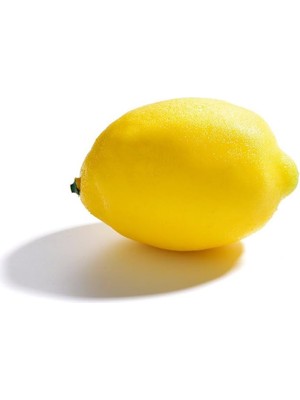 Nettenevime Yapay Meyve Sebze Limon Aşırı Doğal 1. Kalite