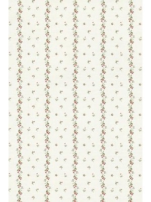 Ertürk Store EFL090 Desenli Yapışkanlı Kaplama Folyosu, 45 cm x 5 mt