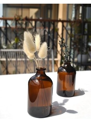 Ertürk Store Mini Vazo Amber Cam Dekoratif Minimal Cam Şişe 100 ml Iskandinav Kahverengi Vazo Seti, 2 Adet