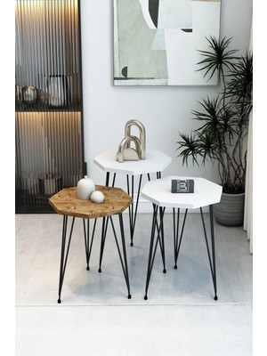 Maison Luré 3'lü Sekizgen Zigon Sehpa Seti - Siyah Metal Ayaklı