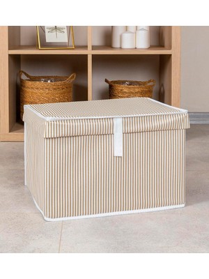 Alas Home Çok Amaçlı Kutu Mini 40*30*26 07196