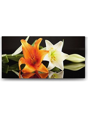 Ertürk Store Süsen Iris Çiçeği Tablosu, 100X50 cm
