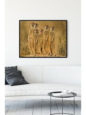 Ertürk Store PSTER12357 Mirketler Eğlenceli Mizahi Çerçeveli Tablo (30 x 40 Cm)