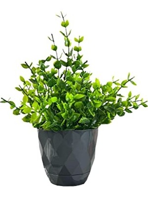 Ertürk Store Siyah Saksıda Yeşil Şimşir Yapay Masa Çiçeği