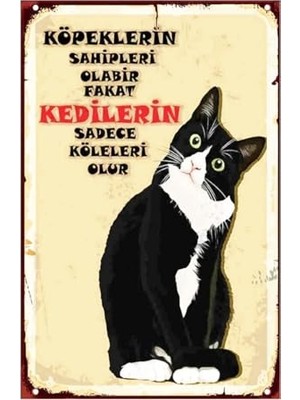 Ertürk Store Kuşe Kağıt Duvar Posteri Kedilerin Sadece Köleleri Olur Retro Vintage DRTR0033
