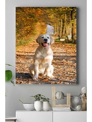 Ertürk Store PSTER16101 Golden Retriever Hayvan Kanvas Tablo 30 x 40