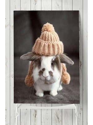 Ertürk Store PSTER8729 Tavşan Hayvan Posteri (80X115 Cm)