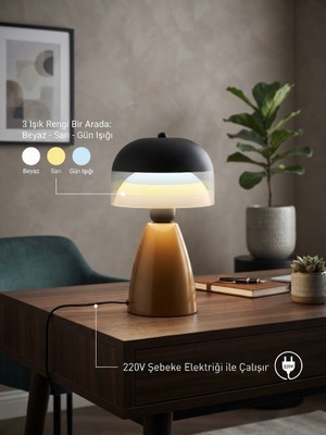 Noma Ledli Masa Lambası Gold & Black