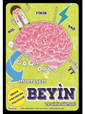 ModaDeniz Muhteşem Beyin ve Sinir Sistemi