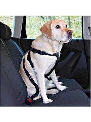 Köpek Emniyet Kemeri Medium 50-70 cm