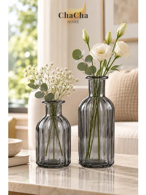 ChaCha Home 2’li Cam Vazo Seti Minimalist Dekoratif Modern Nordic Çiçeklik Masa Üstü Vazo