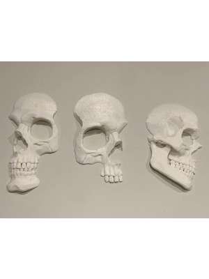 Szd Design Yüksek Detaylı Kuru Kafa Duvar Süsü ve Dekoratif Panel 3 Lü Set