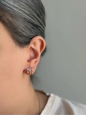 Owentis Çelik Rose Gold Tasarım Model Sıra Taşlı Tavora Küpe -Kararma Yapmaz- Rose Gold
