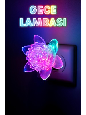 Alastor Rgb Gece Lambası Çiçek Tip On/off Tuşlu Koridor Hol Işığı Uyuma Işığı Renkli Işık Beyaz GC06