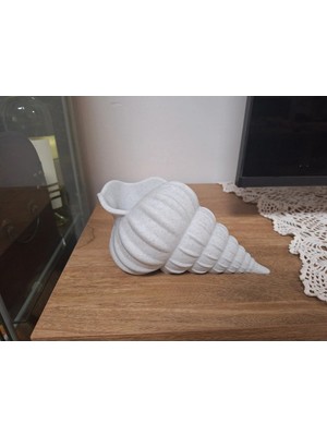 Szd Design Dekoratif Deniz Kabuğu Vazo